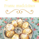 Franse madeleines
