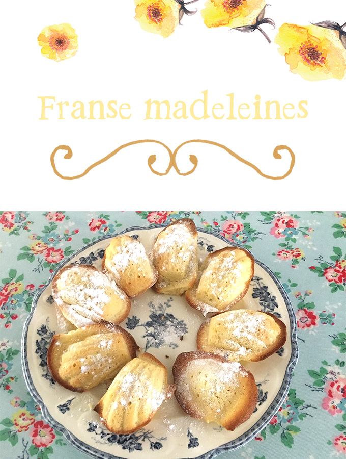 Franse madeleines