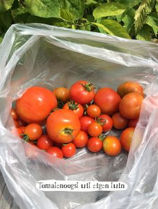 Tomatensoep uit eigen tuin