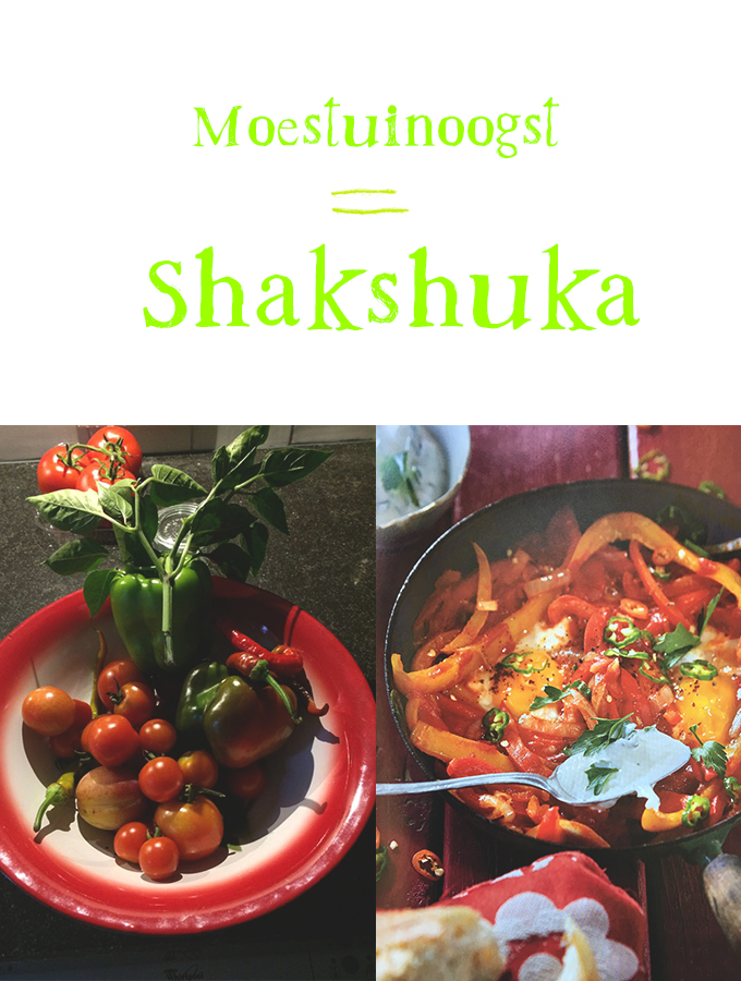 Shakshuka