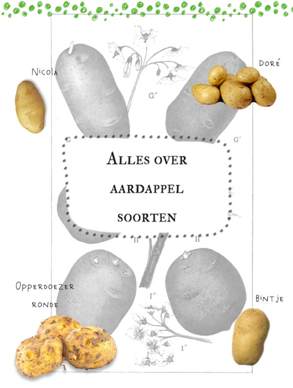 Alles over aardappelsoorten Volbord